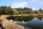 山水濕地公園